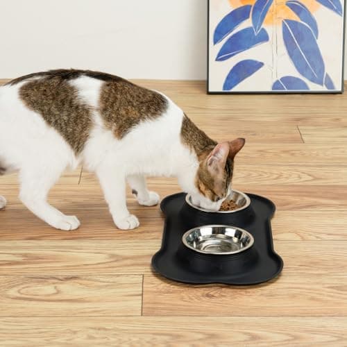 Conlun Dog Bowls with Silicone Feeding Mat, No Spill Food Water Dish Set, Dishwasher Safe, 2 Stainless Steel Puppy Bowls, Suitable for Tiny Dogs Kittens Cats Rabbits Pets under 8lbs, Extra Small,Black 9