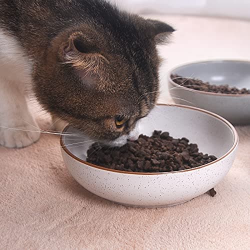 Ceramic Cat Bowls, Howise Pet Bowl Cat Dishes for Food and Water, 5.3 in Cat Food Dish 3 Pack Cat Food Bowls Set Small Dog Dish, Matte White Finish 5