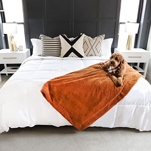 Gray Eagle Oversized King Comforter – Extra Large Synthetic Down Alternative Comforter – Ultra Soft Microfiber, All-Season, Lightweight & Fluffy – Hotel Quality, Machine Washable, White (120' x 98") 8