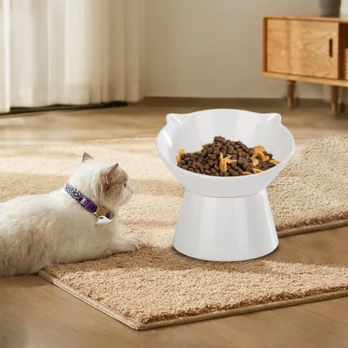 Detachable Elevated Cat Bowls, 15° Tilted Raised Cat Food Bowl Anti-Vomiting, Whisker Friendly, Adjustable Pet cat Dishes for Protecting Spine, Adult Kitten (White) 9
