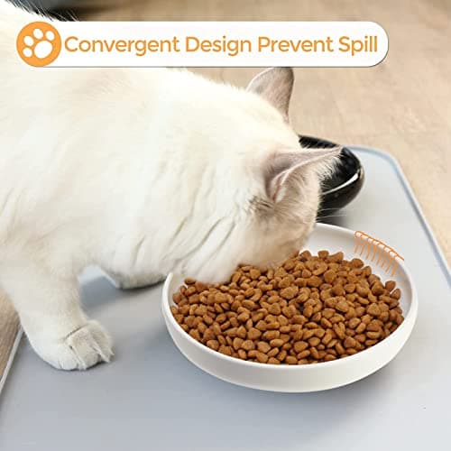 Ceramic Cat Bowls,Shallow Cat Dishes for Food and Water, 6 inch Matte Finish Wide Cat Food Bowl,Whisker Fatigue Free Pet Puppy Kitten Bowl Set of 3,Dishwasher Safe 6