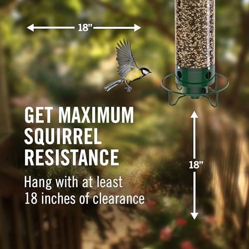 Droll Yankees Squirrel Proof Bird Feeders for Outdoors - YF-M - Flipper, Collapsible Perches, 5-Pound Seed Capacity, Green 7