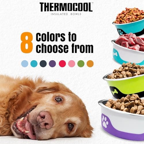 Thermocool Insulated Stainless Steel Pet Bowl - 8 Oz (X-Small) Non-Slip Feeding Dish Reduces Sliding & Spills, Keeps Water Cold & Food Warm, Dishwasher Safe (Purple) 8