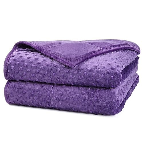 Alomidds Weighted Blanket (60"x80",20lbs Queen Size - Purple), Weighted Blankets for Adults, Breathable Soft and Comfort Minky, Heavy Blanket Microfiber Material with Glass Beads