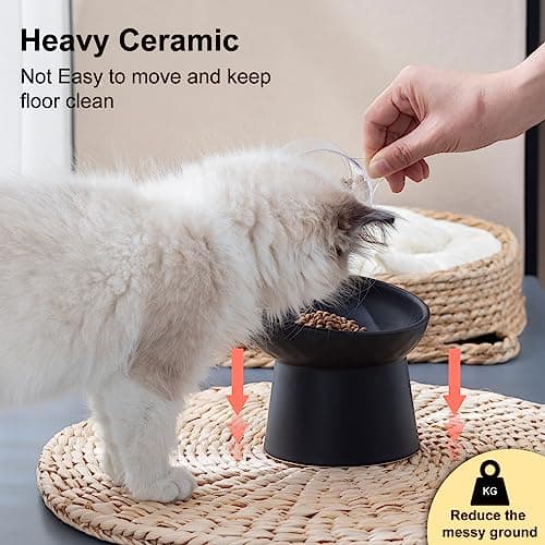 YauYik Raised Cat Bowl Black, Elevated Cat Food Bowls with Tilted Angle, Stress Free, Anti Vomiting, Ceramic Water Bowl for Cats Small Dogs Feeding Dish, 8 Ounces 6