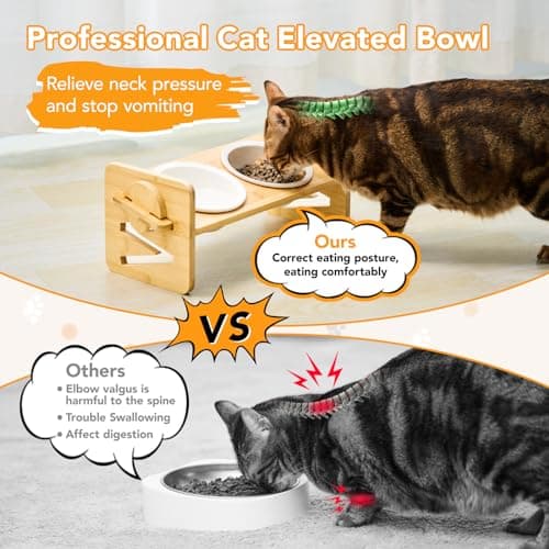 HICC PULE Elevated Pet Bowls for Cats & Small Dogs, Natural Bamboo with Ceramic Raised Small Dog Bowls, Cat Food Dish Bowls Elevated and 15° Tilted, Whisker Friendly, Dishwasher Safe 5