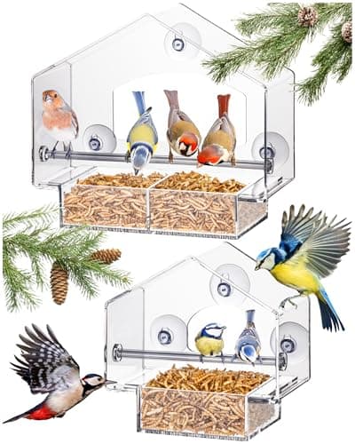 Hatortempt Window Bird Feeder - Set of 2, Clear Plastic - Squirrel-Proof Design with Strong Suction Cups - Wild Bird Feeders for Outdoors & Backyard Birding & Wildlife Viewing