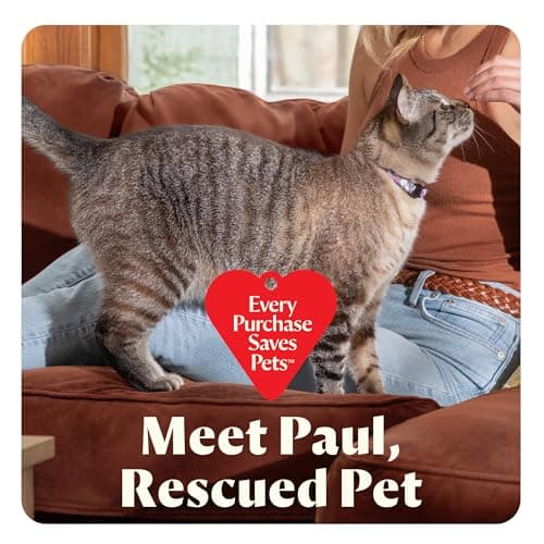 BISSELL Little Green Mini Portable Carpet and Upholstery Deep Cleaner, Car/Auto Detailer, with HydroRinse Self-Cleaning Tool and 4" Tough Stain Tool, Tea Green, 4075 7