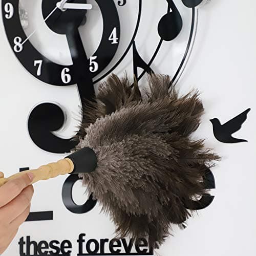 Midoneat Natural Gray Ostrich Feather Duster,2 Packs,Car Duster Interior/Exterior Cleaner, Cleaning for Blinds Kitchen Keyboard Office, Smart and Soft and Fluffy (Gray) 5