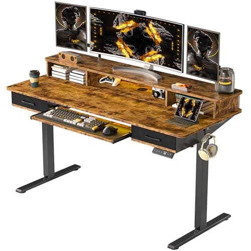 WALKINGDESK 55x24 Inches Electric Standing Desk with Keyboard Tray, Height Adjustable Stand up Desk with 2 Drawers, Ergonomic Sit to Stand Desk with Storage Monitor Stand, Computer Table, Rustic Brown