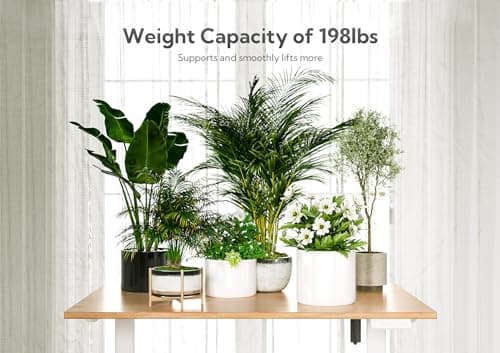 INNOVAR Bamboo Electric Standing Desk, 55x24 Inches Adjustable Height Stand up Desk with Whole Piece Desktop, Sit Stand Home Office Desk White Frame/Bamboo Top 6