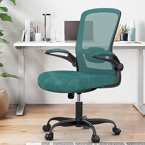 Mimoglad Office Chair, Ergonomic Desk Chair with Adjustable Lumbar Support, High Back Mesh Computer Chair with Flip-up Armrests-BIFMA Passed Task Chairs, Executive Chair for Home Office