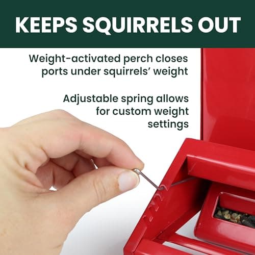 Perky-Pet Squirrel-Be-Gone II Country House Bird Feeder with Weathervane - 8 lb Seed Capacity - Squirrel Proof Wild Bird Feeder for Outdoors - Durable Construction - Rustic Outdoor Decor - 338, Red 6