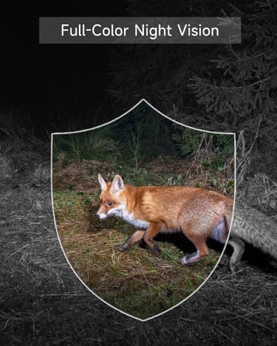 Rraycom Security Camera Wireless Outdoor,5G/2.4G WiFi Camera for Home Security,2K Battery Powered Indoor Cameras with AI Detection,Color Night Vision, Siren,2-Way Talk,Works w/Alexa (1, Black) 8