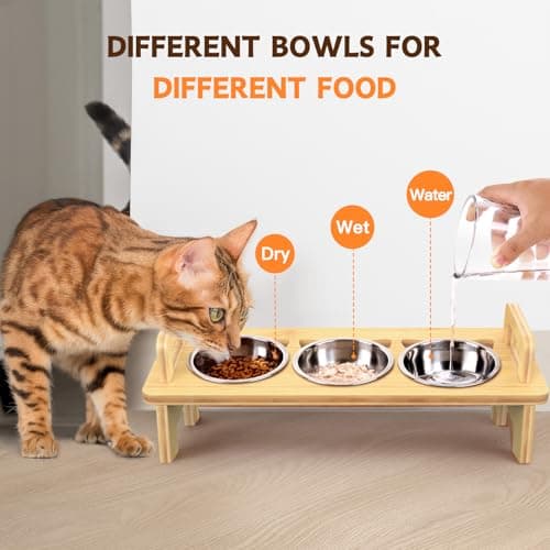 Bamboo Elevated Cat Bowls, 3 Stainless Steel Raised Cat Bowl with Stand, 15°Tilted Cat Feeding Station, Cat Food and Water Bowl Set for Small Cats and Puppy, Anti Vomitting, Whisker Fatigue (Natural) 5