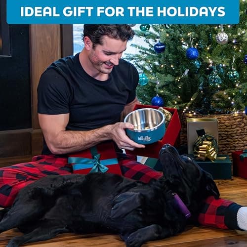 Master Pet Supply Stainless Steel Dog Bowls - 32 oz, Heavy Duty - Black Velvet, Double Wall Extra-Thick Insulated, Non-Slip Pet Water Bowl for Dogs, Cats & Pets, Anti Rust Metal, Dish Washer Safe 8