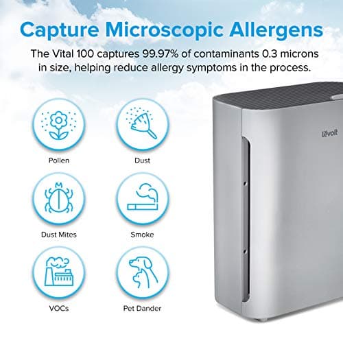 LEVOIT Air Purifiers for Home Large Room, Main Filter Cleaner with Washable Filter for Allergies, Smoke, Dust, Pollen, Quiet Odor Eliminators for Bedroom, Pet Hair Remover, Vital 100, Grey 6