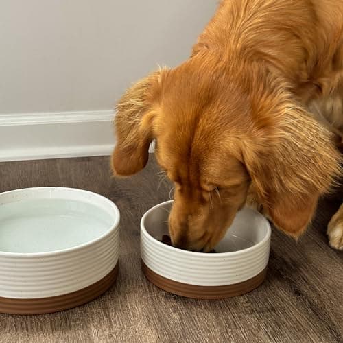 Mora Ceramic Pet Bowl Size Medium - Food/Water Dish for Large Puppies, Cats, Retrievers, Medium Sized Dogs, ect. 28oz or 4 Cups - Basic Bowls for Your Dog or Cat, Mix and Match for a Set - Vanilla 5