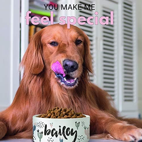 Personalized Ceramic Pet Bowls | Customizable 14 Designs w Your Pet’s Name | 6 inches - Custom Pet Bowls for Dog, Cat, Puppy or Kitten - Dish for Dry, Wet Food or Water - Pet Owner Gifts 6