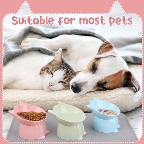 3 Pcs Elevated Cat Bowls 15°Raised Cat Food Bowl with Silicone Mat Whisker Friendly Anti Vomiting Cats Dishes Pet Food and Water Bowls for Indoor Cats Kittens 5