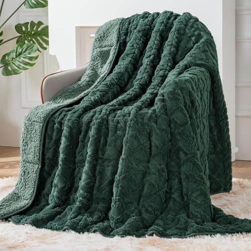 Sherpa Fleece Adult Weighted Blanket Great for Sleep, 15 lbs Dual Sided Soft Fuzzy Heavy Blankets for Couch Bed Sofa, Cozy Warm Fluffy Jacquard Throw for Winter (Green, 60" x 80", 15 Pounds)