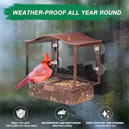Lilyang Window Bird Feeder, Metal Bird Feeder Window with Wide View, Window Bird Feeders with Strong Suction Cups, Wild Bird Feeders for Bird Watching Presents 5