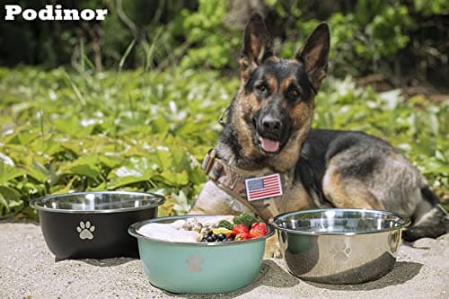 Podinor Large Dog Water Bowl 2 Pack, 1.3 Gallons 170oz Stainless Steel Extra Large Dog Food Bowl for Big Giant Dogs, Black 7