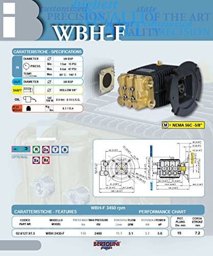 Canpump Electric Pressure Washer: 5 hp Full-Speed Motor 240 V, Bertolini WBH 2430-F Triplex Pump 5