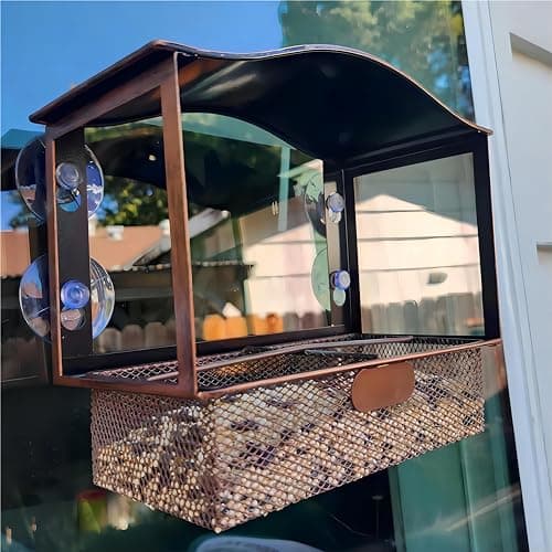Lilyang Window Bird Feeder, Metal Bird Feeder Window with Wide View, Window Bird Feeders with Strong Suction Cups, Wild Bird Feeders for Bird Watching Presents