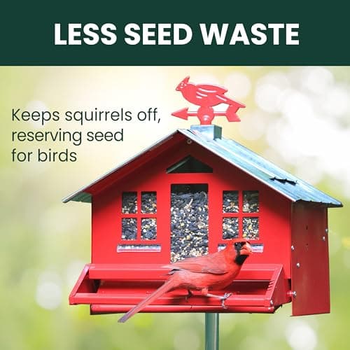 Perky-Pet Squirrel-Be-Gone II Country House Bird Feeder with Weathervane - 8 lb Seed Capacity - Squirrel Proof Wild Bird Feeder for Outdoors - Durable Construction - Rustic Outdoor Decor - 338, Red 10