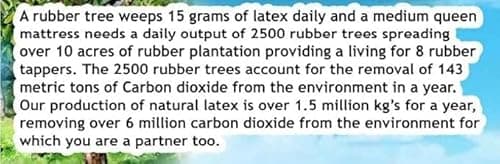 Dunlop Latex Mattress Topper - Medium - 2" - Twin XL 5