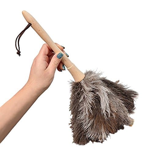 Home-X Ostrich Feather Duster, Wood Handle Duster
