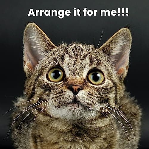 SHA CERLIN 68 Inches Multi-Level Large Cat Tree for Large Kitties/Big Cat Tower with Condo/Cozy Plush ‌Pussycat Perches/Sisal Scratching Posts and Hammocks/Activity Center/Grey 8