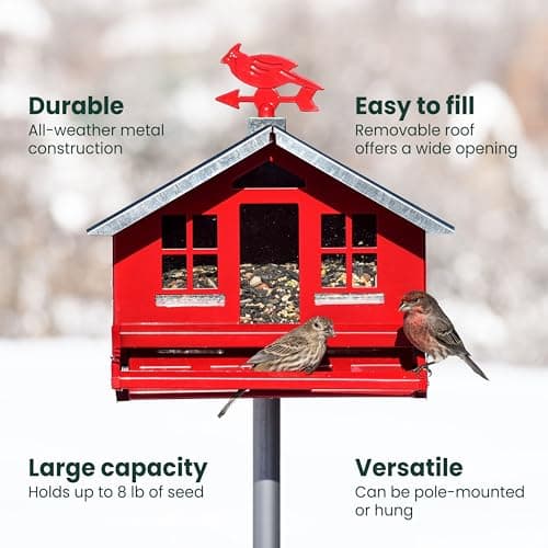 Perky-Pet Squirrel-Be-Gone II Country House Bird Feeder with Weathervane - 8 lb Seed Capacity - Squirrel Proof Wild Bird Feeder for Outdoors - Durable Construction - Rustic Outdoor Decor - 338, Red 5