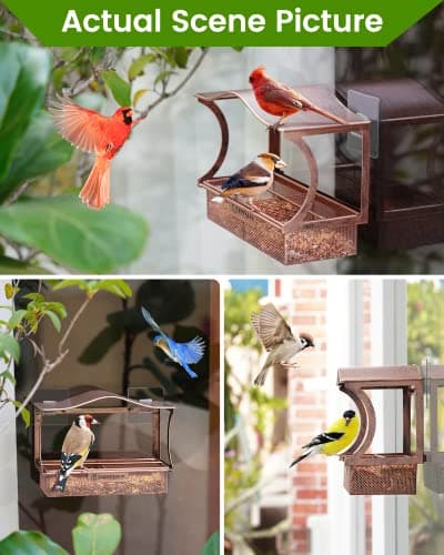 Window Bird Feeder, Metal - with Strong Suction Cups, Large Outdoor for Viewing Bird Watching Gift (Curved) 6