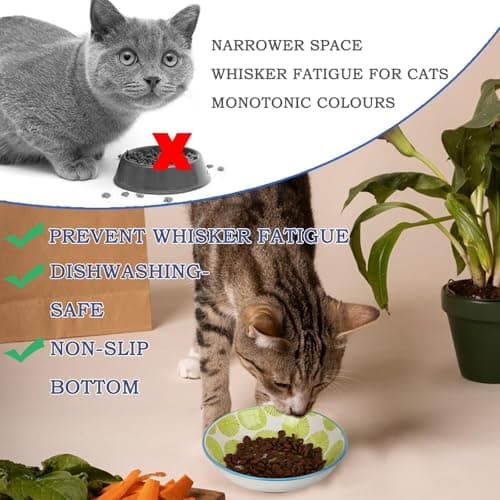 Ceramic Cat Bowls with Non-Slip Silicone Bottom,Prevent Whisker Fatigue,Reduce Mess,Wide Cat Bowls for Indoor Cats,6 Colorful Set for Daily Feeding Gift Choice (Classic) 5