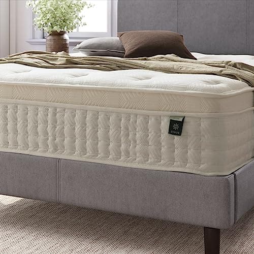 Zinus 12 Inch Euro Top Pocket Spring Hybrid Mattress, Queen, Pressure Relief, Pocket Innersprings for Motion Isolation, Mattress in A Box 5