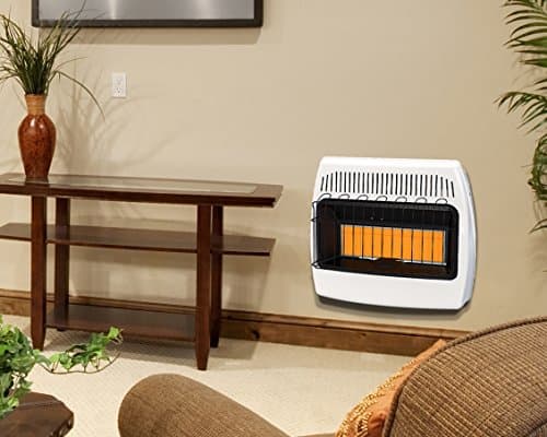 Dyna-Glo IR30NMDG-1 30,000 BTU Natural Gas Infrared Wall Heater 7