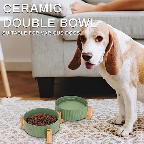 Ptlom Ceramic Pet Bowls for Dog and Cat, No Spill Dog Food and Water Bowl Set with Anti-Slip Wooden Stand, Riased Puppy Feeding Dishes Suitable for Small, Medium and Large Cats Dogs, Green 28 OZ 5