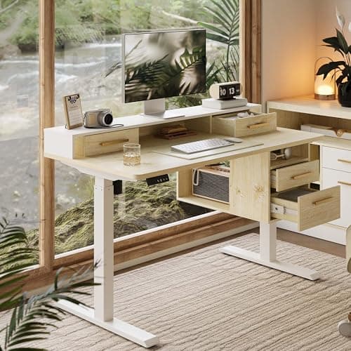 ModernMate Electric Standing Desk with 4 Drawers, 46 x 28 Inch Height Adjustable Whole Piece Sit Stand Desk, Computer Home Office Workstation with Open Storage Shelf, Light Wood