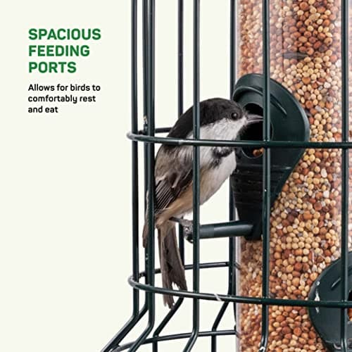 Squirrel Resistant Bird Feeders 22 oz. Bird Feeder with 4 Perches for Small Backyard Birds ONLY. Bird Feeder Squirrel Proof/Chew Proof/Rustproof. Fill with Wild Bird Seed for Outside Feeders 5
