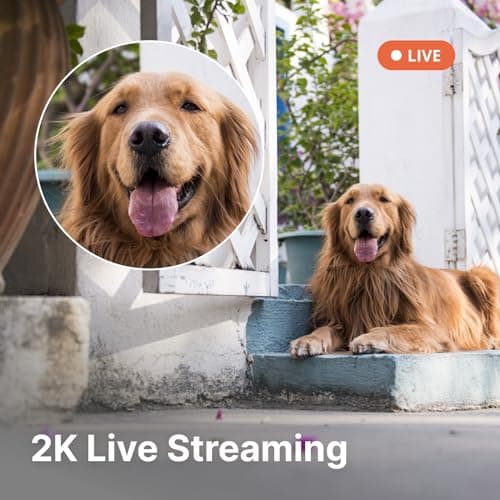 AlfredCamera AlfredCam Plus 2.5K Wi-Fi Smart Home Security Camera,Indoor/Outdoor,IP65 Waterproof,Color Night Vision,64GB SD Card,Baby/Pet Cam,Works App (70M+ Downloads) 5