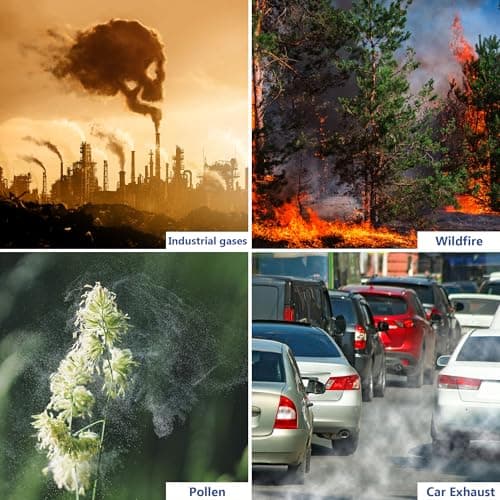 FCFMY AP2 True HEPA Replacement Filter Set Compatible with Priestley PM1240B and Airversa AP2 Purelle Air Cleaner Purifiers, 3-Stage Filtration System, Pre-Filter, H13 HEPA Filter, 4 Pcs/2 Sets 7