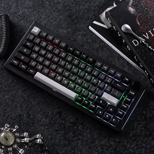 Akko 5075B Plus Silent Mechanical Keyboard 75% Percent RGB Hot-swappable Creamy Keyboard with Knob, Black & Silver Theme with PBT Double Shot ASA Profile Keycaps Fairy Switch 5