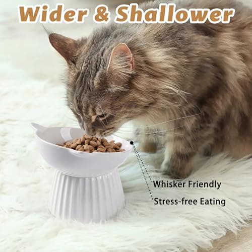 Wellbro Ceramic Raised Cat Bowl，Tilted Raised Cat Bowl Anti Vomit Cat Bowls for Indoor Cats Whisker Friendly Pet Feeder for Cats Puppies, Microwave and Dishwasher Safe 5