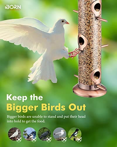iBorn Metal Bird Feeders Brushed Copper Wild Bird Feeder for Outdoors Hanging All Metal Brushed Copper Finishing 15 Inch 6 Port(Seed is not Included) 9