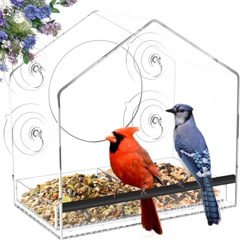 Jarkyfine Window Bird Feeder with 4 Extra Strong 2.36" Suction Cups - 4.4" Extra Deep Tray for Large Capacity, Clear Acrylic Bird Feeder for Outdoors, Removable Tray with Drain Holes, Gift for Parents