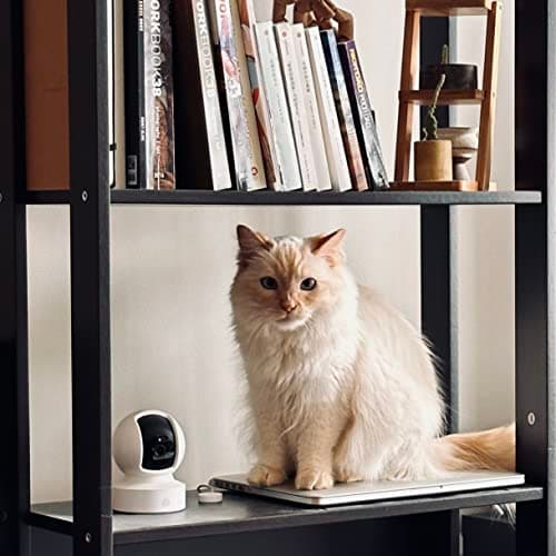 Kasa 1080p Indoor Pan/Tilt Wired Security Camera - Works as a Baby & Pet Monitor, Motion Detection & Tracking, 2-Way Audio, Night Vision, Subscription-Free Local Storage or Optional Cloud, EC70 6