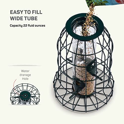 Squirrel Resistant Bird Feeders 22 oz. Bird Feeder with 4 Perches for Small Backyard Birds ONLY. Bird Feeder Squirrel Proof/Chew Proof/Rustproof. Fill with Wild Bird Seed for Outside Feeders 7