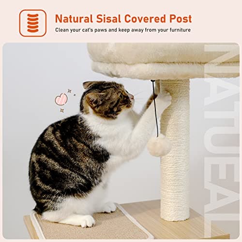 PEQULTI Cat Tree Modern Cat Tower for Indoor Cats,Multilevel Cat Play House with Large Condo, Spacious Hammock, Cozy Top Perch,Scratching Post and Dangling Balls 6